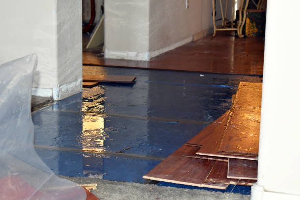 Professional Structural Drying And Dehumidification technician working in Raywood, TX